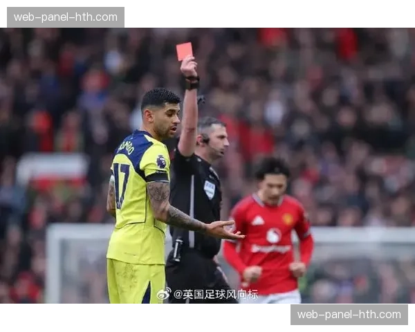 独立调查报告揭示英超俱乐部在可持续性发展上的投入差异